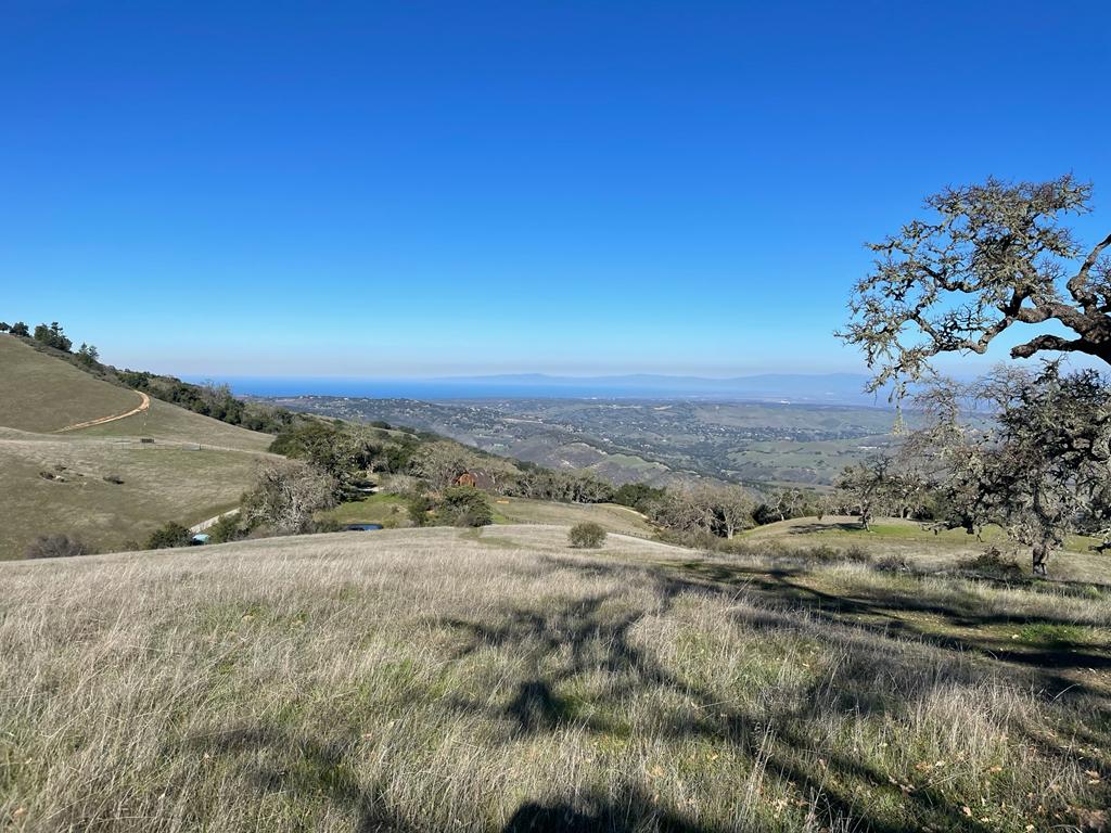 Pinot Noir at home: Hospices de Beaune 2021 – part 1